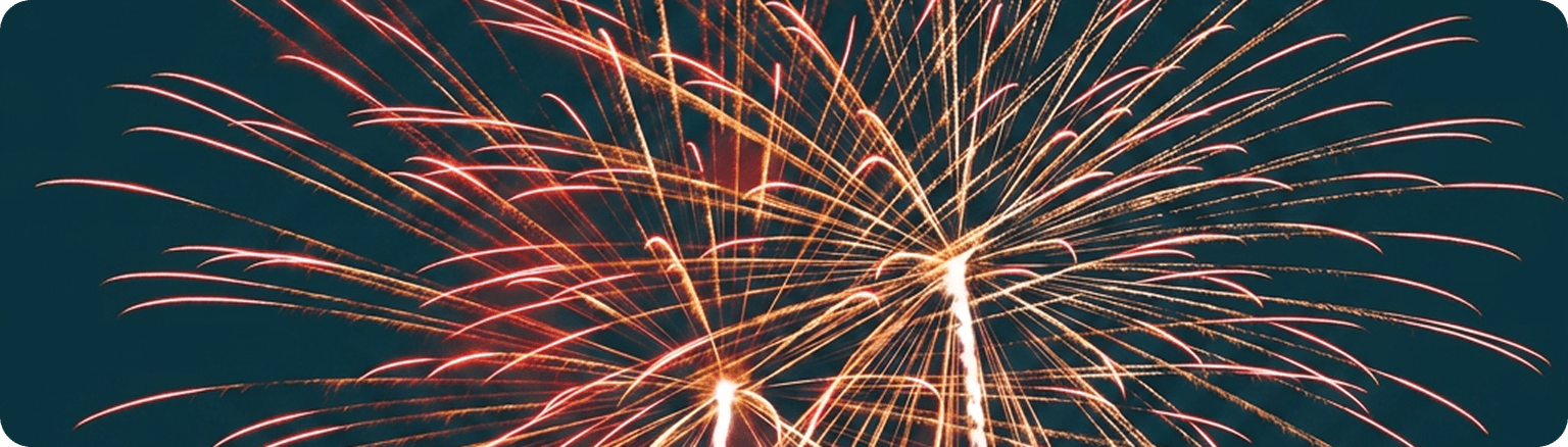 Fireworks bursting in a night sky