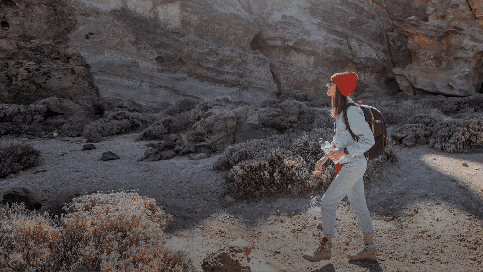 Traveler walking through landscape